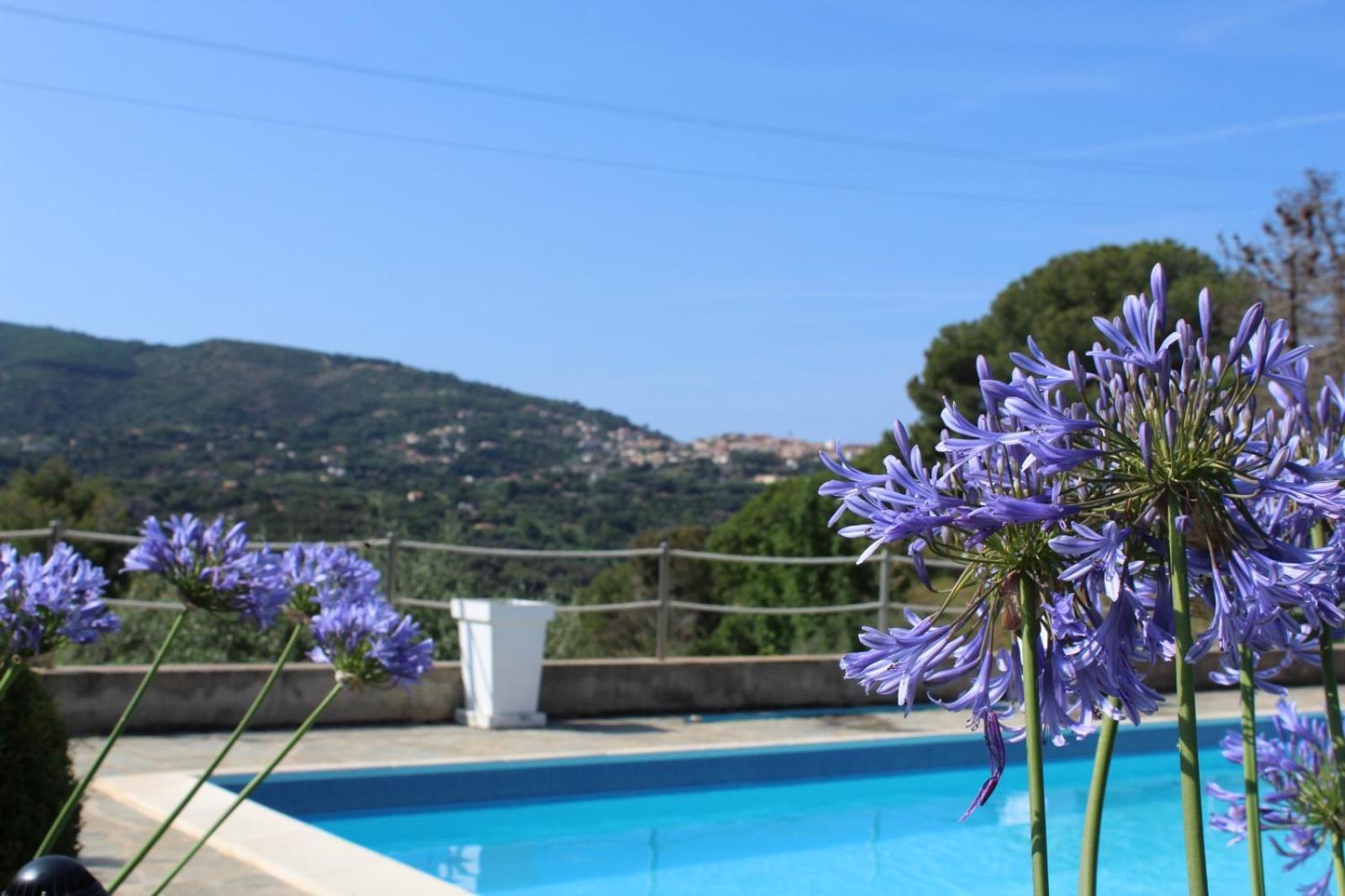Residence Les Oliviers Порт-Аццурро Экстерьер фото